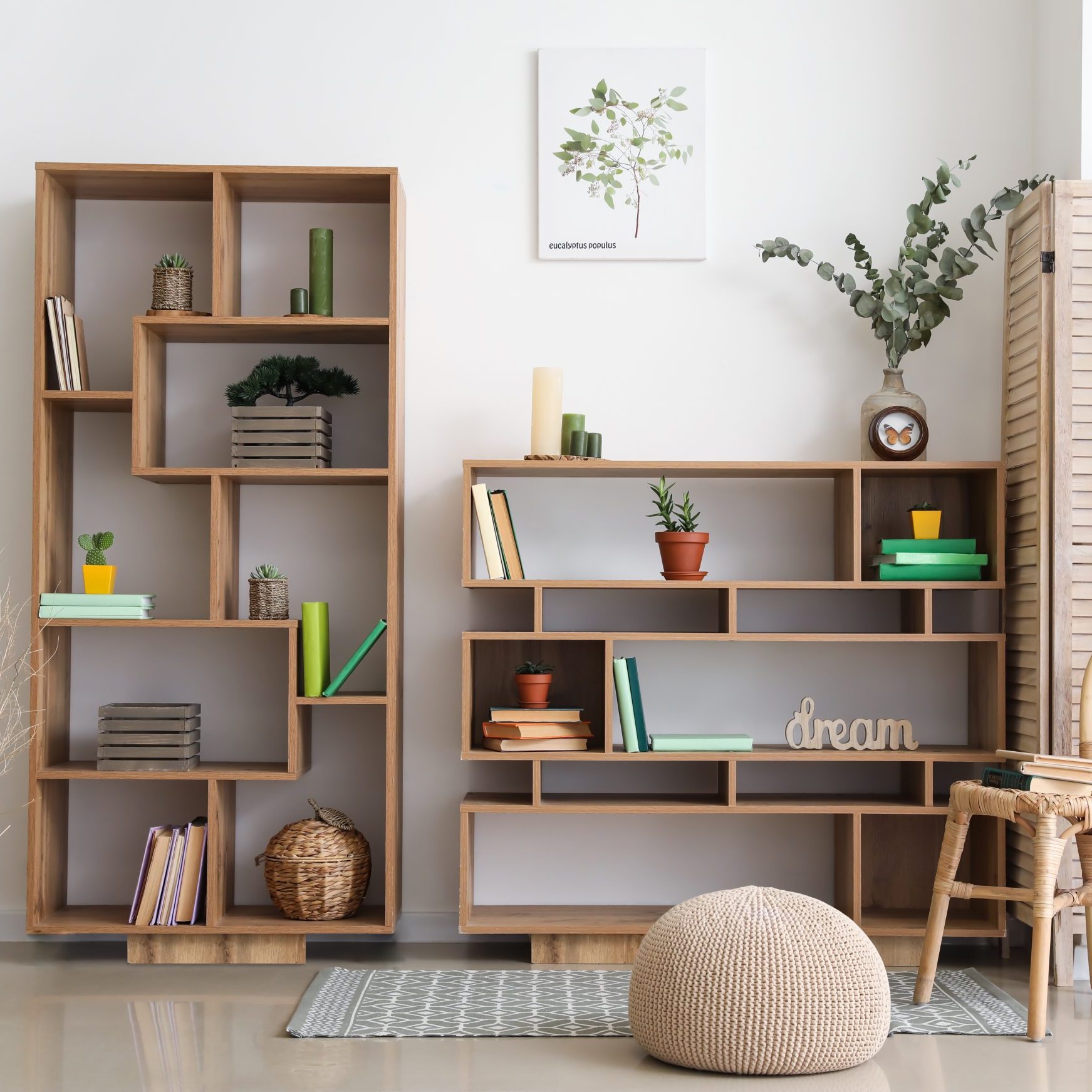 Interior of modern room with shelf units